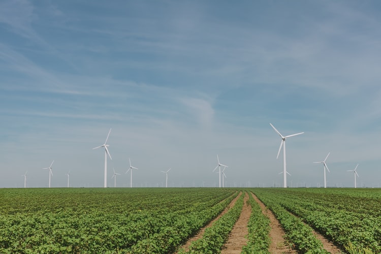 Como agricultores aumentaram sua renda com a energia eólica?