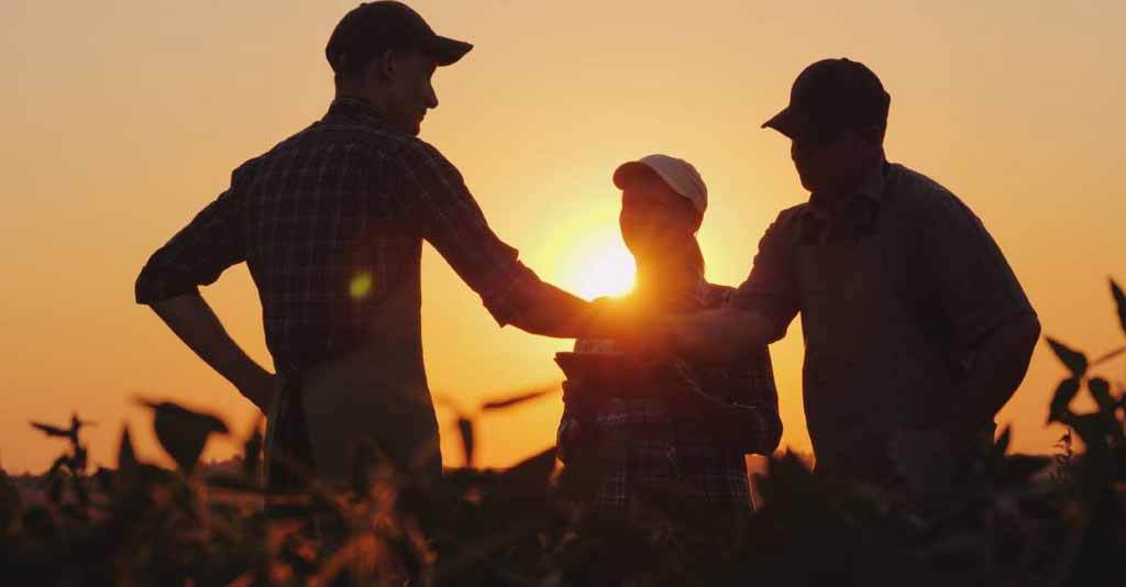 Linhas de crédito emergenciais chegam para auxiliar agricultores. Foto: StockMediaProduction - Adobe.