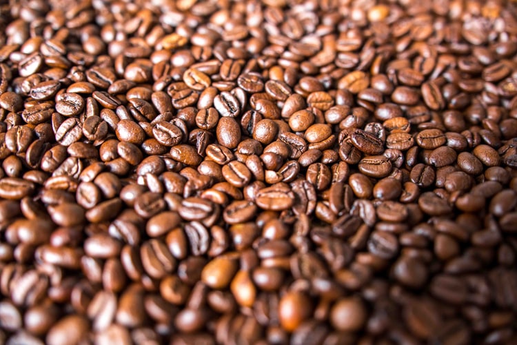 colheita de café rebece adaptações devido à pandemia do coronavirus