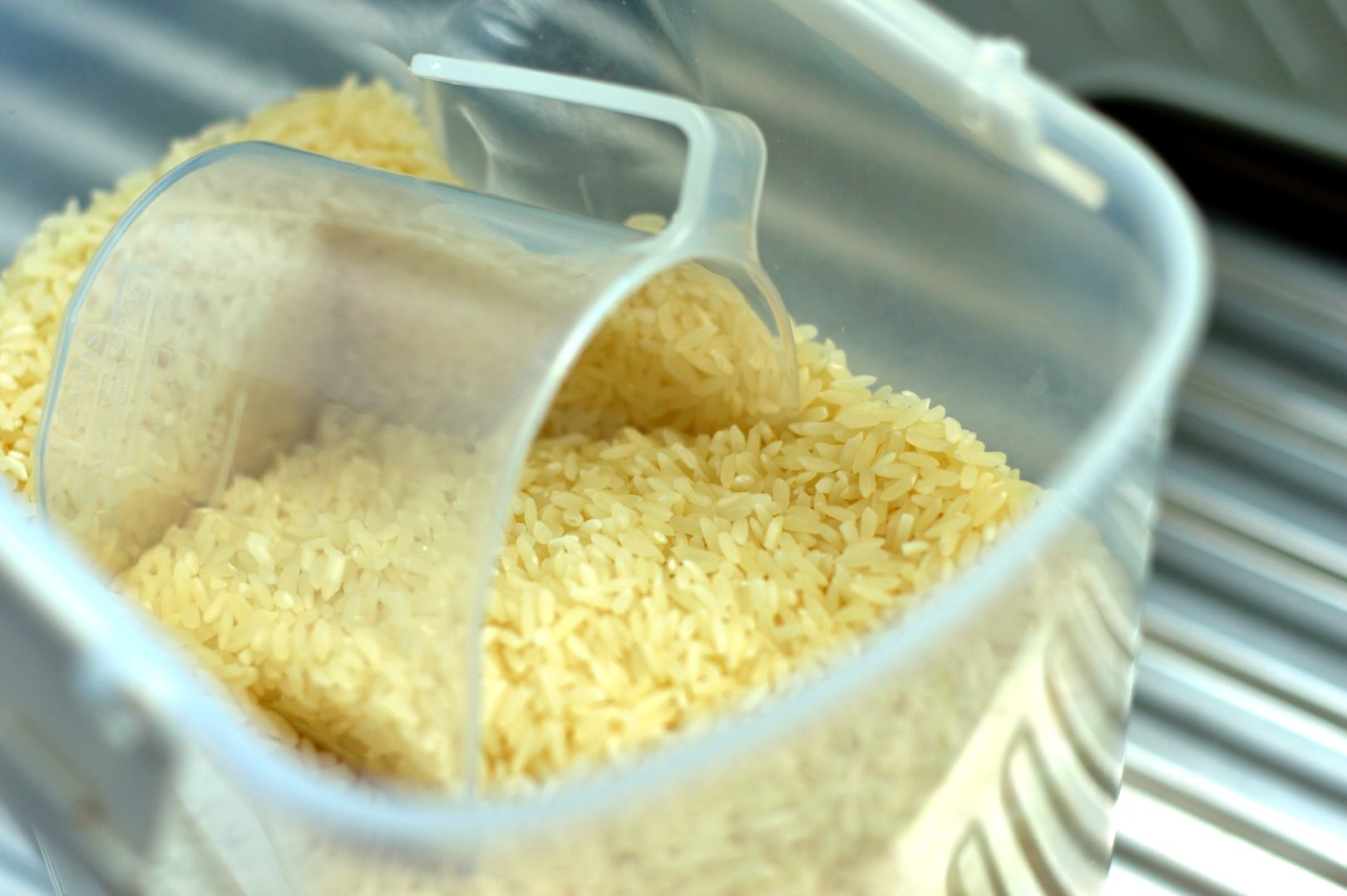 Aumento no preço do arroz: Conheça os principais motivos. Foto/Reprodução: Matthew Lakeland - Unsplash