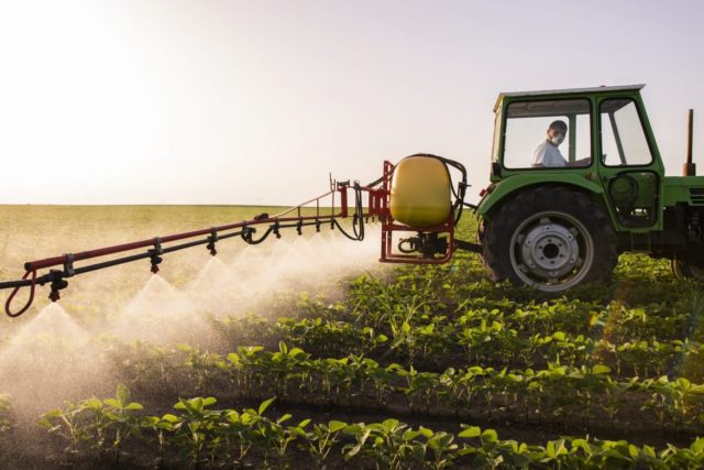 Descarte das embalagens de agrotóxicos: qual a melhor forma de fazê-lo. Foto/Reprodução: fotokostic no iStock