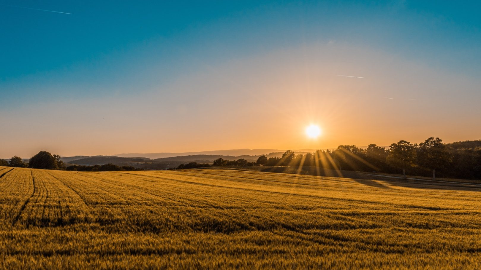 Titula Brasil: iniciativa promete otimizar a regulamentação fundiária. Foto/Reprodução: Federico Respini no Unsplash