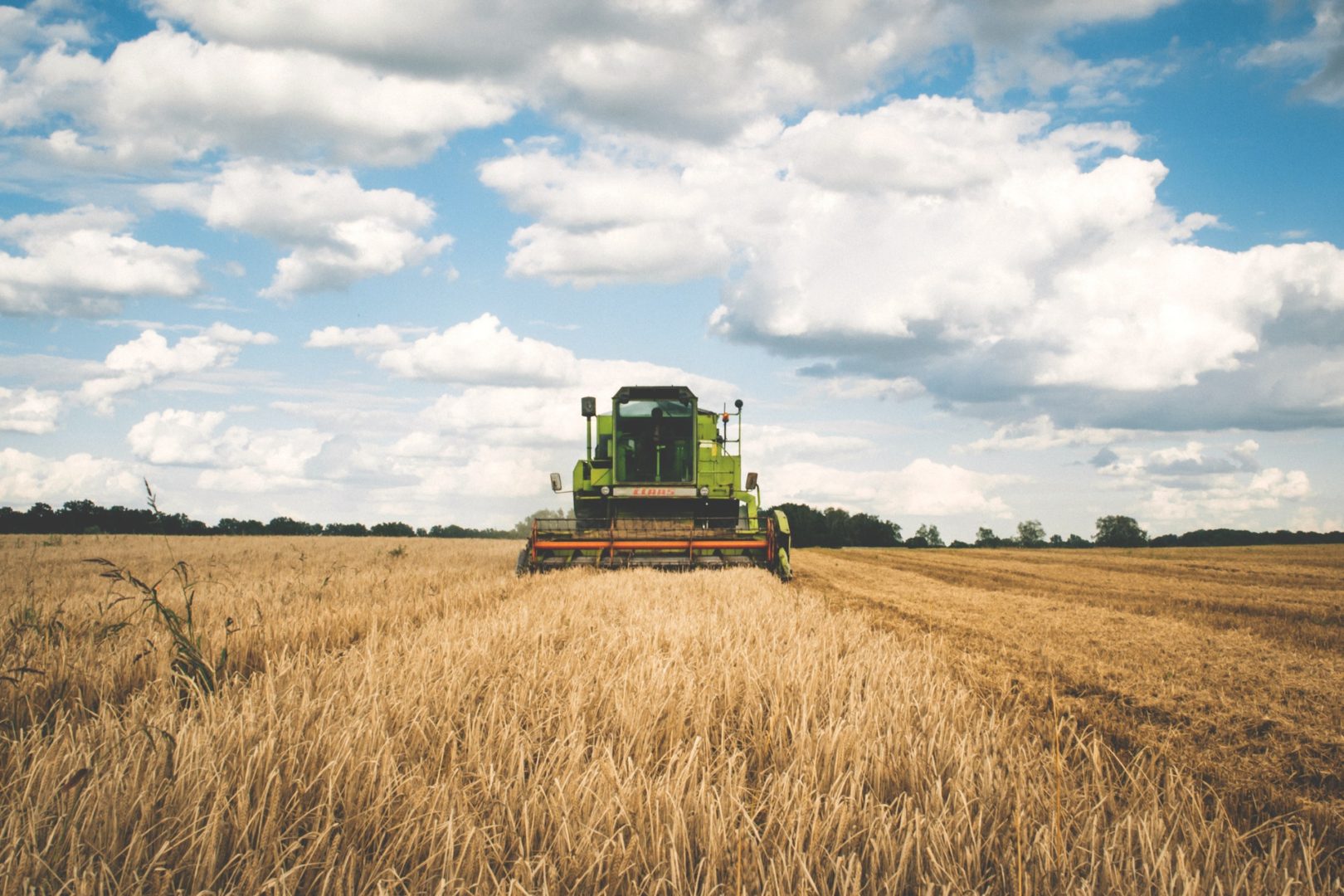 Manutenção das máquinas agrícolas: descubra os cuidados que deve ter. Foto/Reprodução: freestocks.org no Pexels