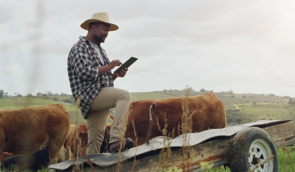 Conectividade rural: os próximos passos da tecnologia no campo. Foto/Reprodução: PeopleImages no iStock
